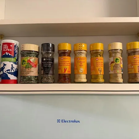 With And Mountain View Lejlighed Spiez