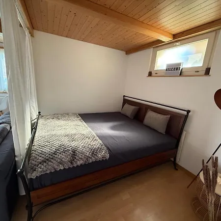 Apartment With And Mountain View Spiez