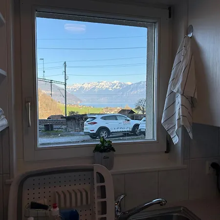 With And Mountain View * Spiez