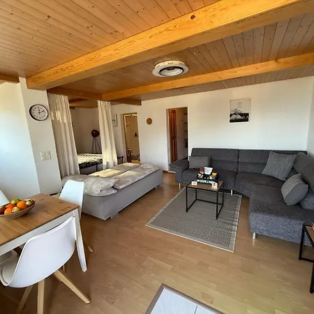 With And Mountain View Apartment Spiez