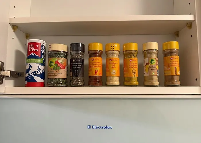 With And Mountain View Apartment Spiez