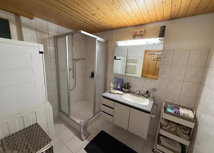 With And Mountain View Spiez