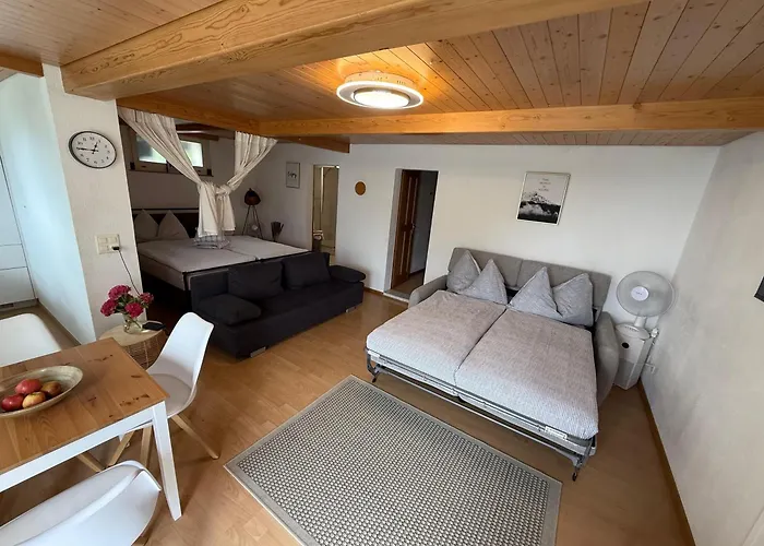 With And Mountain View Apartment Spiez