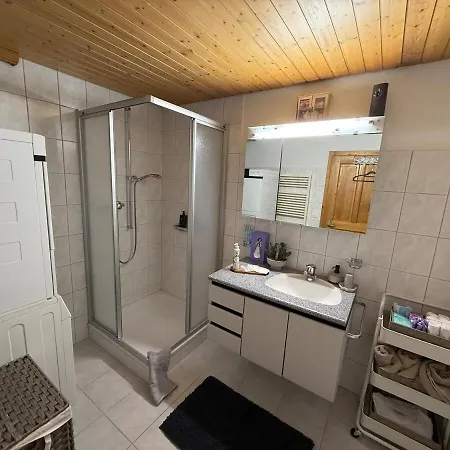 With And Mountain View Spiez